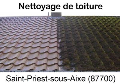 Entreprise de démoussage à Saint-Priest-sous-Aixe-87700