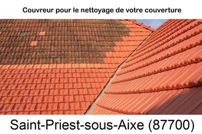 Entreprise de couverture à Saint-Priest-sous-Aixe-87700