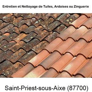 Nettoyage toiture à Saint-Priest-sous-Aixe-87700