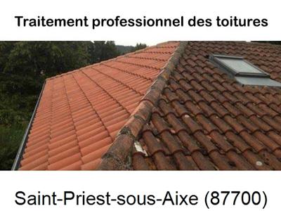 Couvreur pro 87 sur Saint-Priest-sous-Aixe-87700