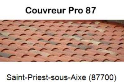 Votre couvreur pour la réparation des toits Saint-Priest-sous-Aixe-87700