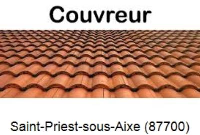 Réparation fuite de toiture à Saint-Priest-sous-Aixe-87700