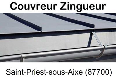 Photo toiture zinc Saint-Priest-sous-Aixe-87700