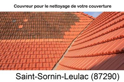 Entreprise de couverture à Saint-Sornin-Leulac-87290