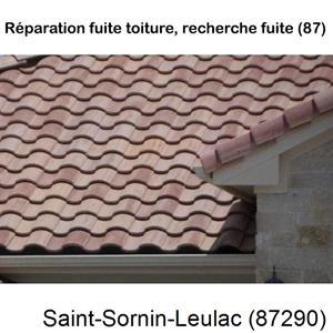 Votre couvreur dans le 87 pour la réparation de votre couverture à Saint-Sornin-Leulac-87290