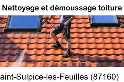 Artisan couvreur propose anti-mousse à Saint-Sulpice-les-Feuilles-87160