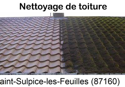 Entreprise de démoussage à Saint-Sulpice-les-Feuilles-87160