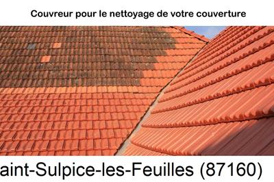 Entreprise de couverture à Saint-Sulpice-les-Feuilles-87160