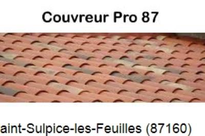 Entreprise de couverture à Saint-Sulpice-les-Feuilles-87160