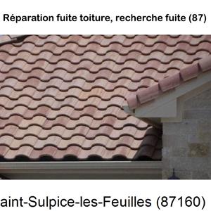 Toiture réparation à Saint-Sulpice-les-Feuilles-87160