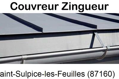 Photo toiture zinc Saint-Sulpice-les-Feuilles-87160