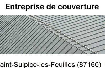 Couvreur pro 87 Saint-Sulpice-les-Feuilles-87160