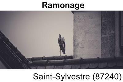 Artisan ramoneur Saint-Sylvestre-87240