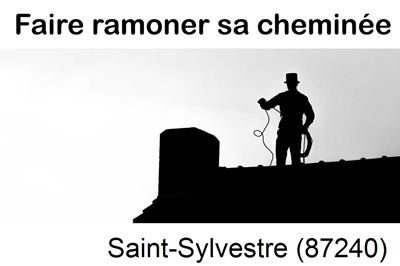 Ramoneur à Saint-Sylvestre-87240