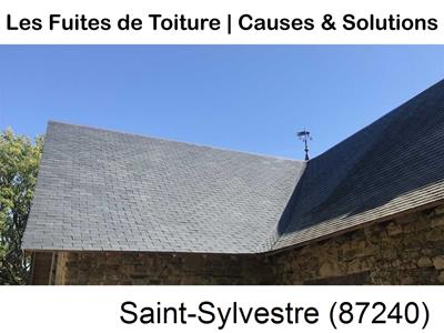 Entreprise de couverture à Saint-Sylvestre-87240