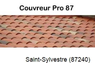 Votre couvreur pour la réparation des toits Saint-Sylvestre-87240