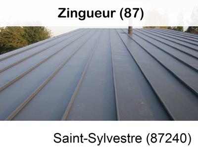 Votre zingueur en image à Saint-Sylvestre-87240