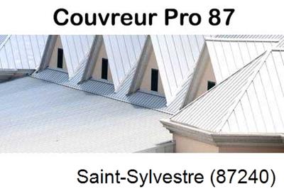 Entreprise de zinguerie à Saint-Sylvestre-87240