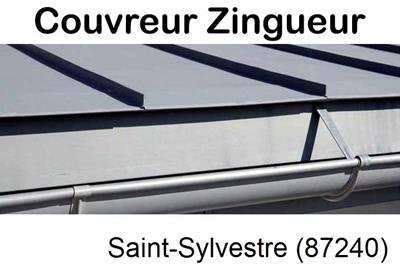 Photo toiture zinc Saint-Sylvestre-87240