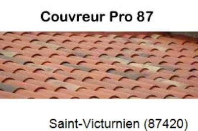 Votre couvreur pour la réparation des toits Saint-Victurnien-87420