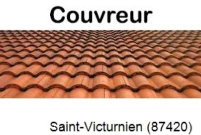 Réparation fuite de toiture à Saint-Victurnien-87420