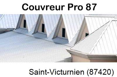 Entreprise de zinguerie à Saint-Victurnien-87420