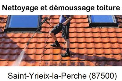 Artisan couvreur propose anti-mousse à Saint-Yrieix-la-Perche-87500