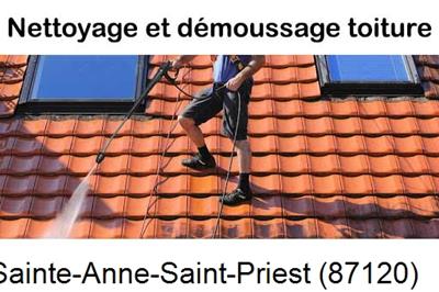 Artisan couvreur propose anti-mousse à Sainte-Anne-Saint-Priest-87120