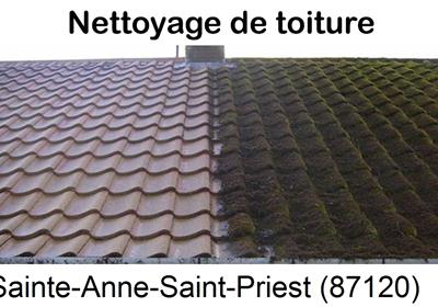 Entreprise de démoussage à Sainte-Anne-Saint-Priest-87120