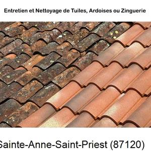 Nettoyage toiture à Sainte-Anne-Saint-Priest-87120