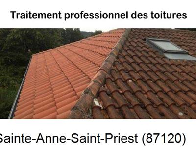 Couvreur pro 87 sur Sainte-Anne-Saint-Priest-87120