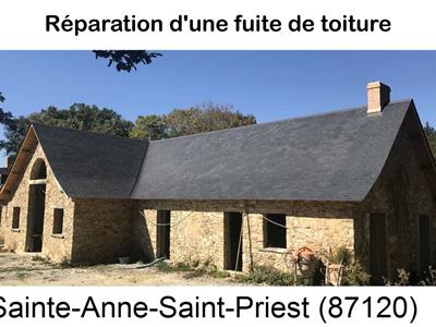 Travaux rénovation toiture à Sainte-Anne-Saint-Priest-87120
