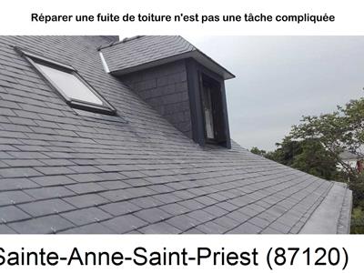 Votre couvreur pour la réparation des toits Sainte-Anne-Saint-Priest-87120
