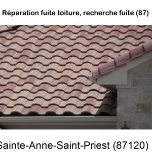 Toiture réparation à Sainte-Anne-Saint-Priest-87120