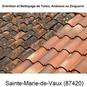 Nettoyage toiture à Sainte-Marie-de-Vaux-87420