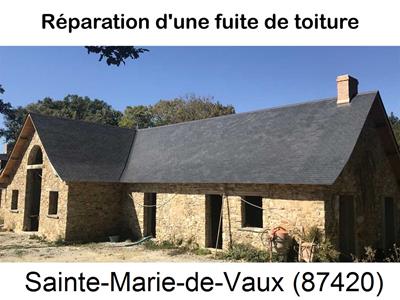 Travaux rénovation toiture à Sainte-Marie-de-Vaux-87420