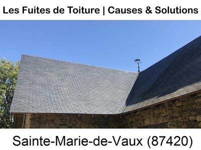 Réparation fuite à Sainte-Marie-de-Vaux-87420