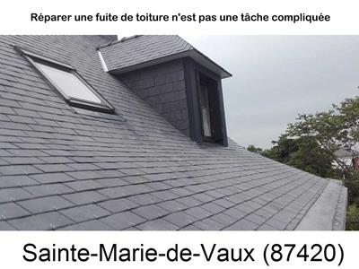 Votre couvreur pour la réparation des toits Sainte-Marie-de-Vaux-87420
