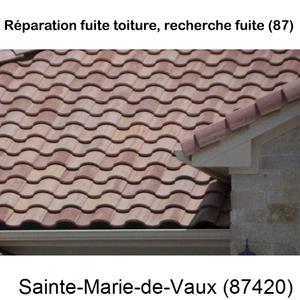 Toiture réparation à Sainte-Marie-de-Vaux-87420