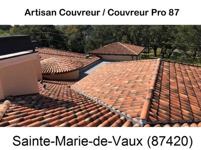 Réparation fuite de toiture à Sainte-Marie-de-Vaux-87420