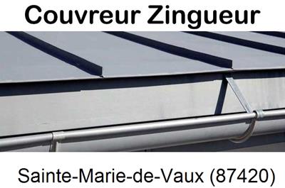 Photo toiture zinc Sainte-Marie-de-Vaux-87420