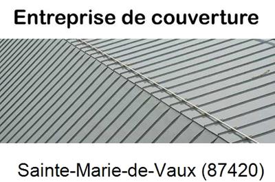 Couvreur pro 87 Sainte-Marie-de-Vaux-87420