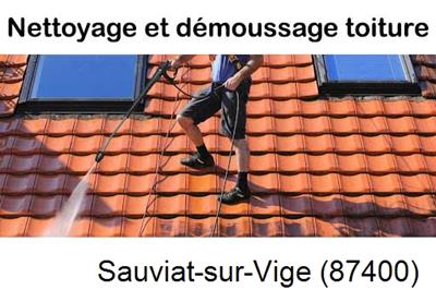 Artisan couvreur propose anti-mousse à Sauviat-sur-Vige-87400