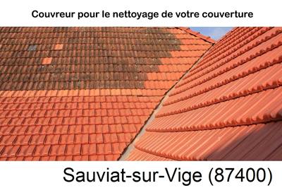 Entreprise de couverture à Sauviat-sur-Vige-87400