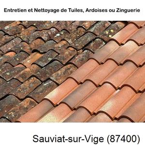 Nettoyage toiture à Sauviat-sur-Vige-87400