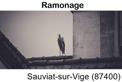 Ramonage cheminée Sauviat-sur-Vige-87400