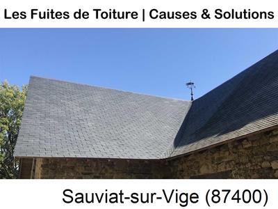 Entreprise de couverture à Sauviat-sur-Vige-87400