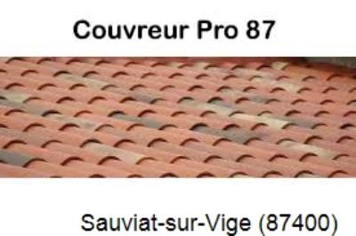 Votre couvreur pour la réparation des toits Sauviat-sur-Vige-87400