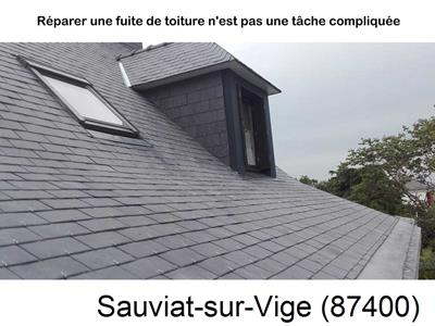 Toiture réparation à Sauviat-sur-Vige-87400