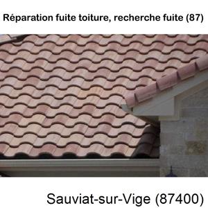 Votre couvreur dans le 87 pour la réparation de votre couverture à Sauviat-sur-Vige-87400